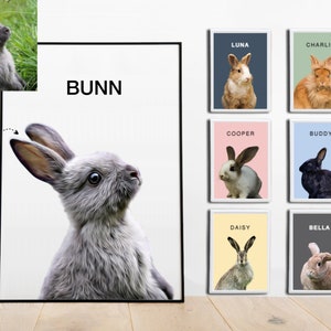 Custom Bunny Portrait From Photo Custom Rabbit Portrait Personalized Rabbit Gifts Custom Bunny Gifts Personalized Bunny Rabbit Painting