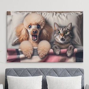 Poodle and cat surprise, funny animal couple in bed children&#39;s room poster animal picture wall decoration poster for download