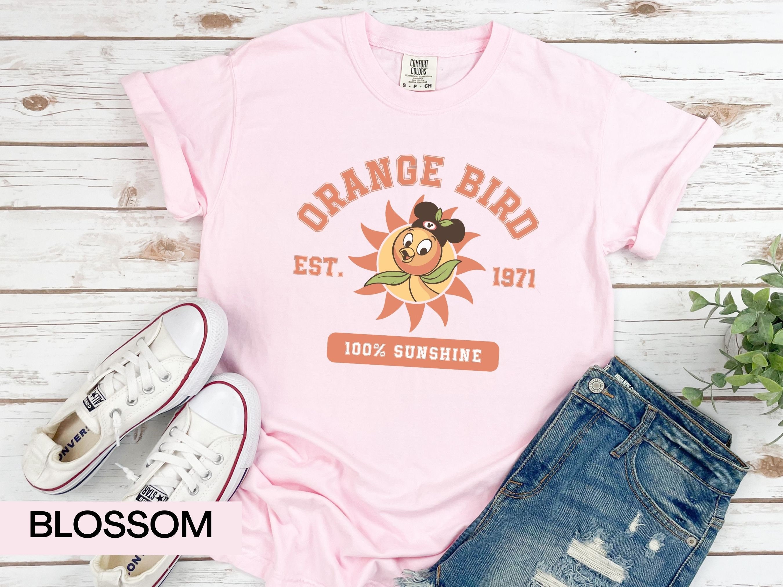 Orange Bird Shirt Disney Comfort Colors Epcot Shirt Disney Etsy