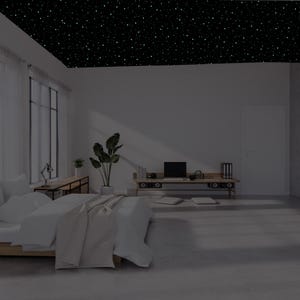 May include: A modern bedroom with a black ceiling speckled with white stars. The room features a bed with white bedding, a wooden bench with a laptop, and a large window. A potted plant adds a touch of nature to the space.