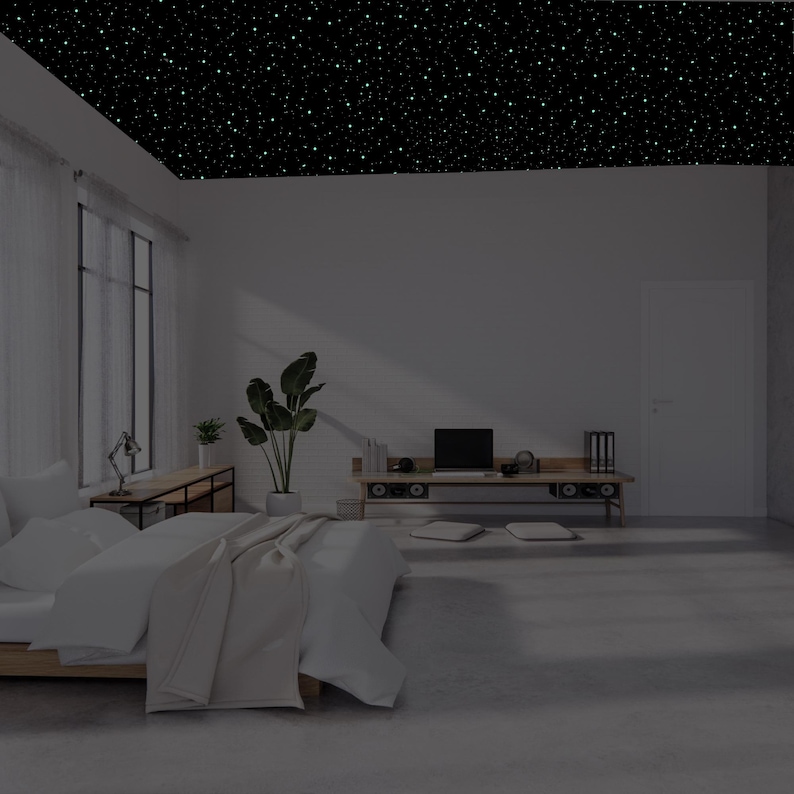 May include: A modern bedroom with a black ceiling speckled with white stars. The room features a bed with white bedding, a wooden bench with a laptop, and a large window. A potted plant adds a touch of nature to the space.