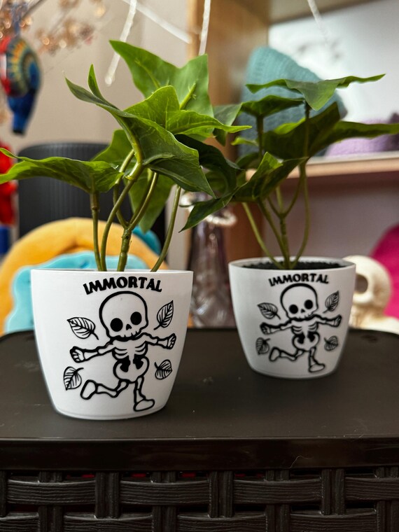 Immortal Plants - Etsy