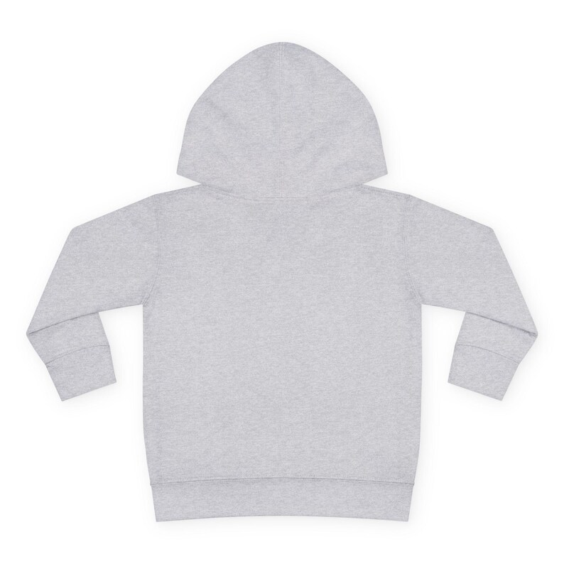 Mickey Mouse Minnie Mouse Donald Daisy Disneyland Disney World Toddler Pullover Fleece Hoodie Movie Trip Vacation Holiday Family Trip image 6