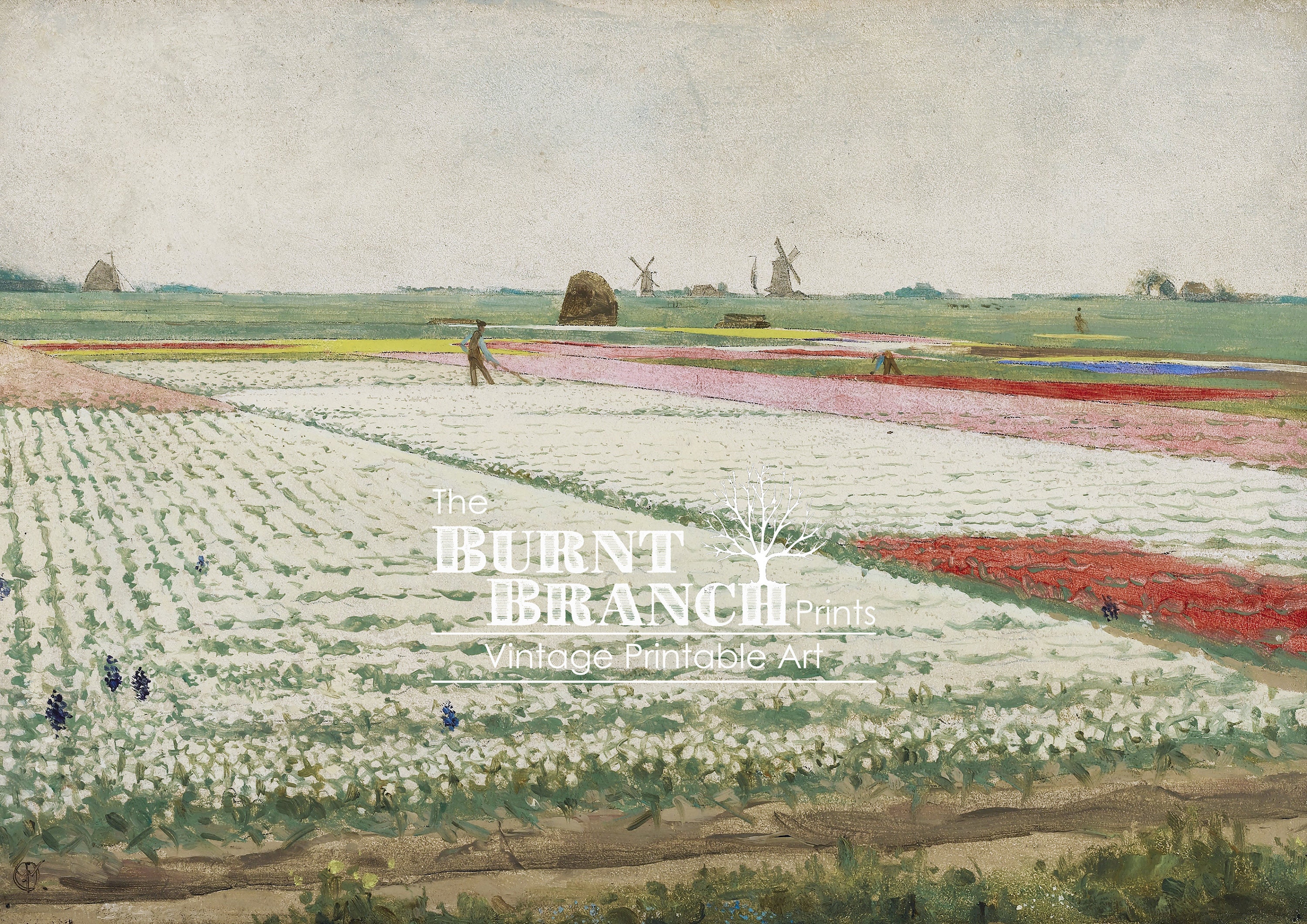 Tulip Field Landscape Print - Vintage Printable Art - Instant Digital ...