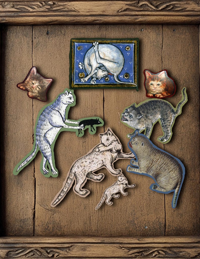 50 Medieval Cat Sticker Pack, Funny Art History Stickers image 2