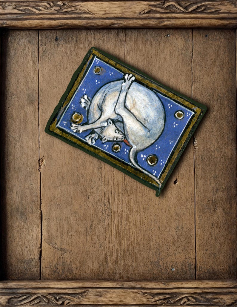 50 Medieval Cat Sticker Pack, Funny Art History Stickers image 10