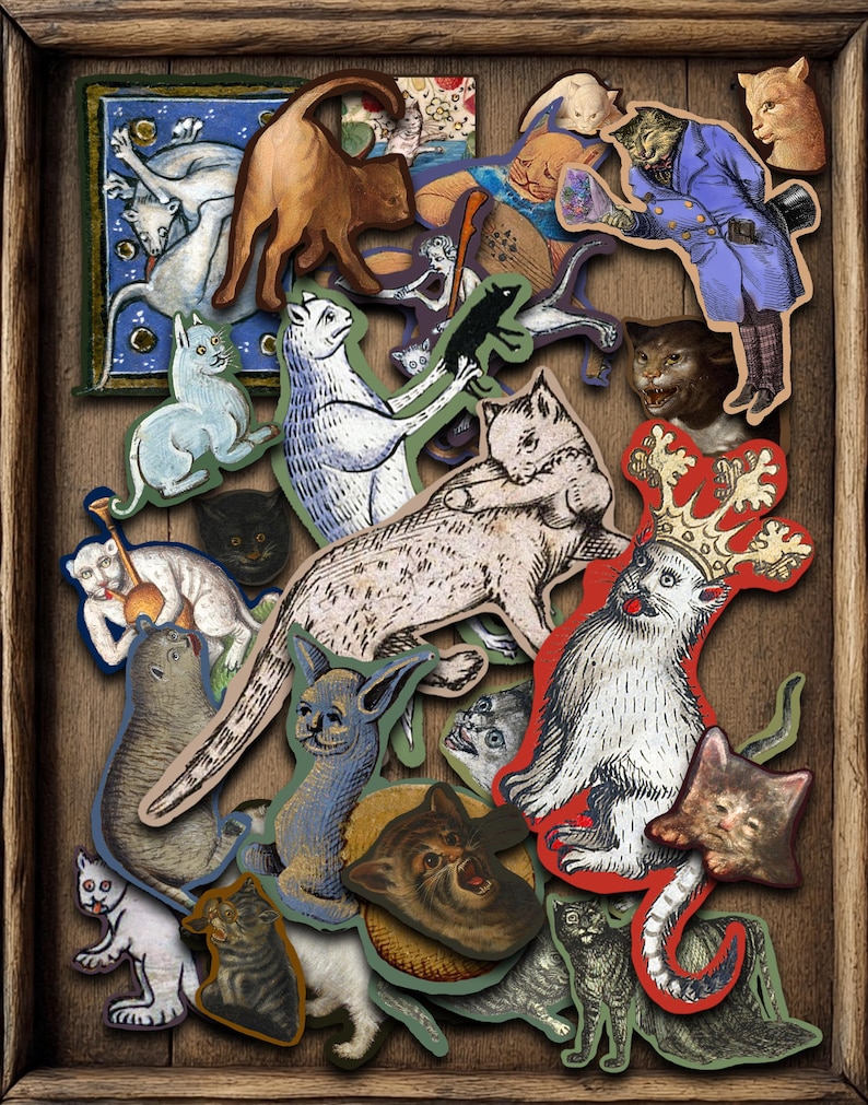 50 Medieval Cat Sticker Pack, Funny Art History Stickers image 1