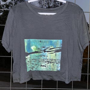 May include: A dark gray cropped t-shirt with a graphic print of a blue, green, and white abstract design.