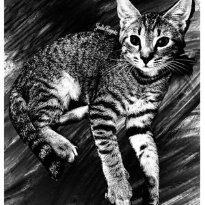 Holographic Tabby Cat Sticker