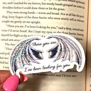 Acotar - rhysand quote- bookish-Booktok vinyl sticker- waterproof glitter- Sarah j Maas- there you are I’ve been looking for you