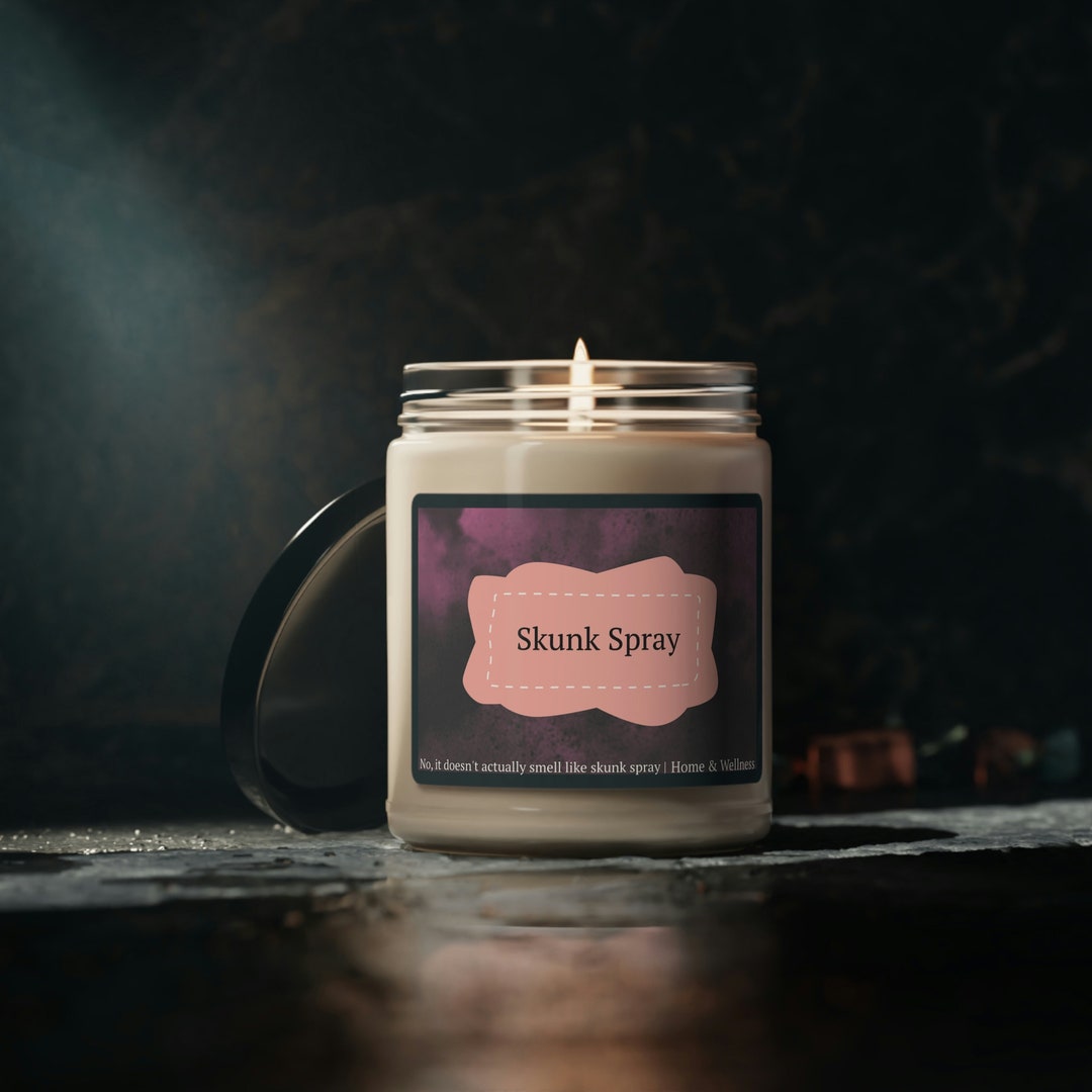 Funny Adult Candle skunk Spray Funny Candles for Women, Candles for