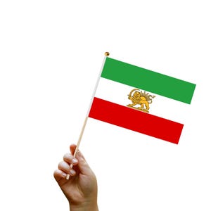 Puede incluir: Una pequeña bandera iraní con una franja verde en la parte superior, blanca en el centro y roja en la parte inferior. La sección blanca presenta un emblema dorado. La bandera es sostenida por una mano sobre un fondo blanco. La bandera está en un palo de madera.