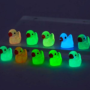Glow in the Dark Duckling Car Accessories-Colorful Luminous Tiny Duck-Car Dashboard Decor-Moss Micro Landscape Ornaments Car Freshies