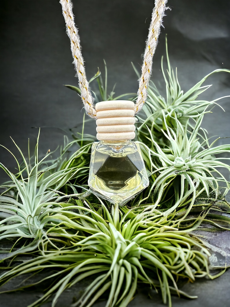 Hanging Air Freshener Diffuser - Etsy