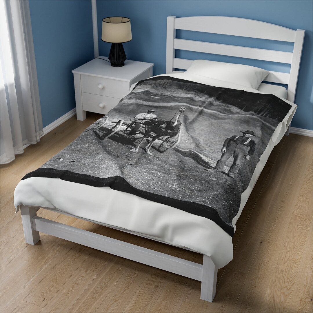 Ostrich Cute Pattern Print Blanket