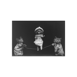Cartes postales de récréation de chaton (10 pièces)