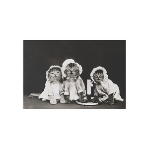 Bonnet baby kitty Postcards (10pcs)