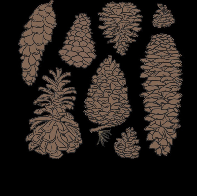 Pinecone Cottage Core Svg and Png Instant Download - Etsy