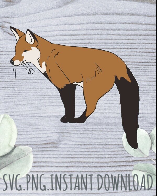 Fox Cottage Core Svg and Png Instant Download - Etsy