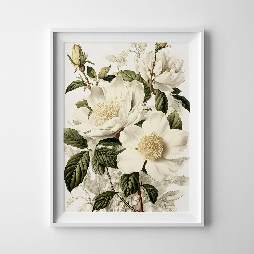 Vintage White Floral Bouquet | Wall Art | Floral | Flower | Botanical ...