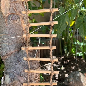 Puede incluir: Una escalera de cuerda en miniatura con peldaños de madera, colgada de una rama de árbol. La escalera está hecha de materiales naturales y tiene un aspecto rústico.