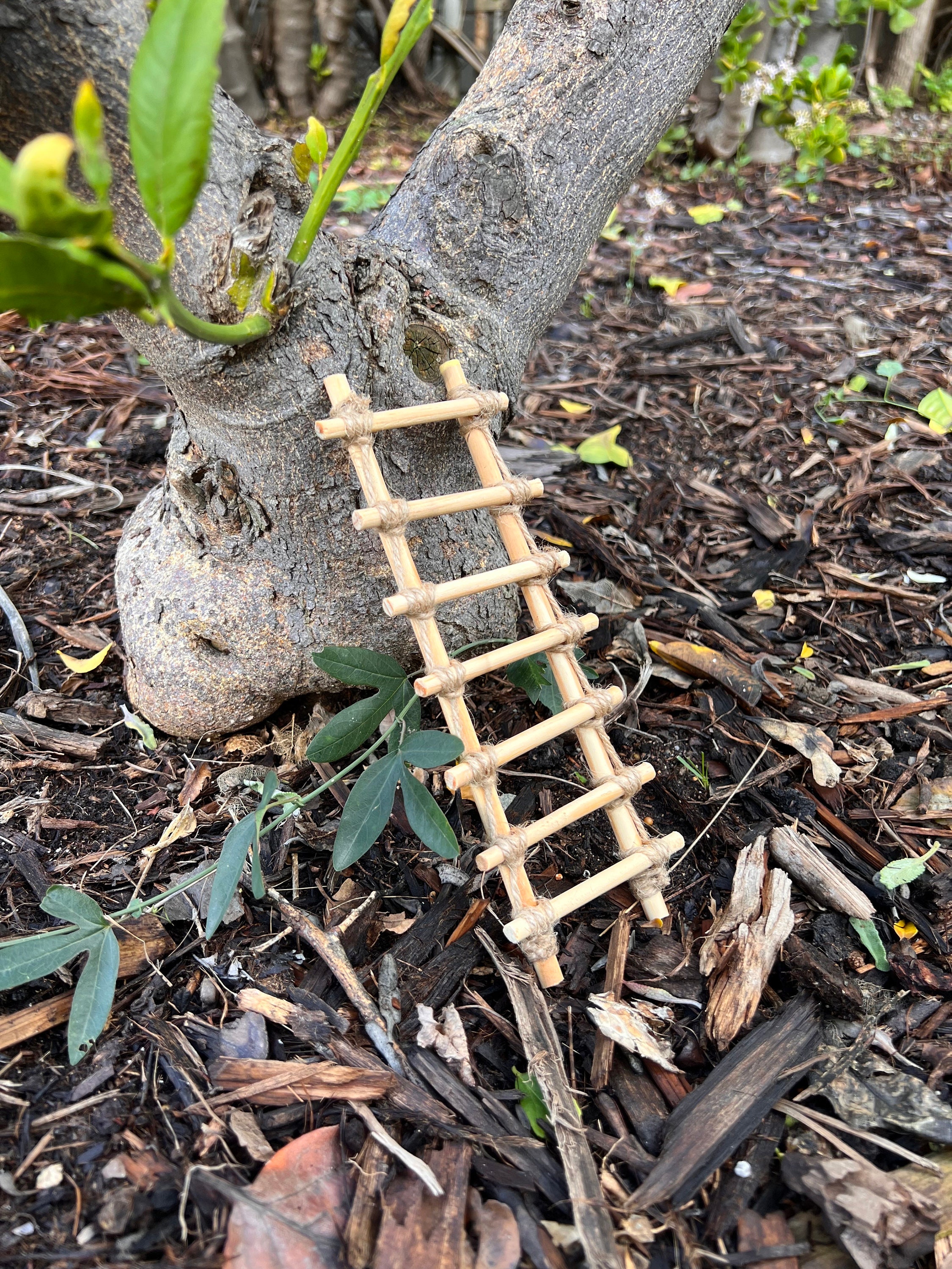 Fairy Garden Wire Ladder