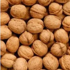 May include: A set of three ceramic mugs with a speckled, cream-colored glaze. Each mug features a different hand-painted design: a sun, a moon, and a star. The mugs have a simple, modern design with a comfortable handle.