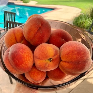 Peach Tree (3) Cuttings/Scions- 3 pack (dwarf)