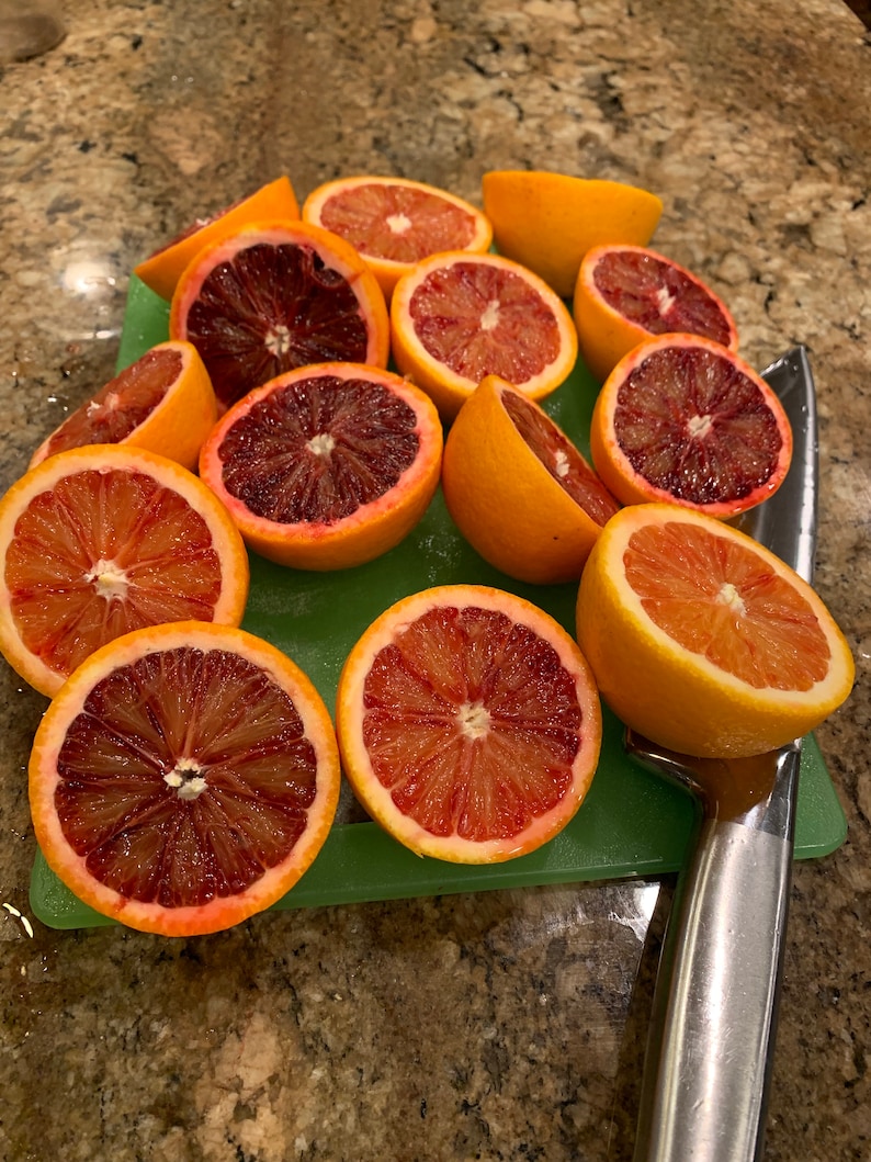 Orange Cuttings Navel Orange Cara Cara Orange Blood Orange Etsy
