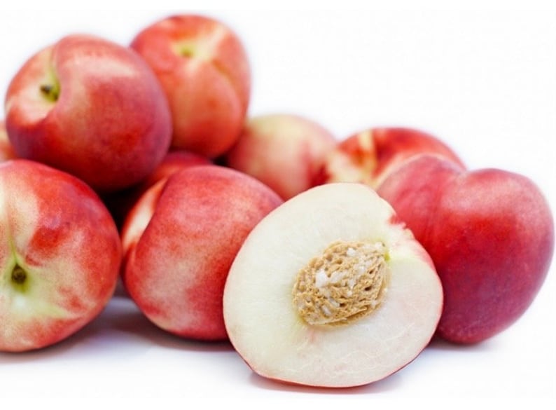 Dwarf White Nectarine Tree 3 Cuttings/scions 3 Pack Etsy