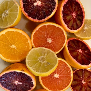 Orange Cuttings! Navel Orange, Cara Cara Orange, Blood Orange, Meyer Lemon, Mexican Lime, Sweet Lime- 3-pack scion wood cuttings