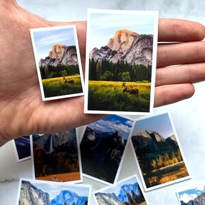 May include: A collection of eight printed photographs of Yosemite National Park, featuring various landscapes and wildlife. The photos are arranged in a hand, with the largest photo showing a mountain range and a deer in the foreground.