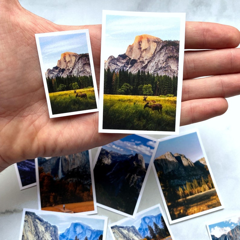 May include: A collection of eight printed photographs of Yosemite National Park, featuring various landscapes and wildlife. The photos are arranged in a hand, with the largest photo showing a mountain range and a deer in the foreground.