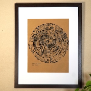 May include: Framed print featuring a black and white tree ring design on a tan background. The text "RED PINE 27 YRS" is printed below the image. The print is set in a dark brown frame with a white mat.