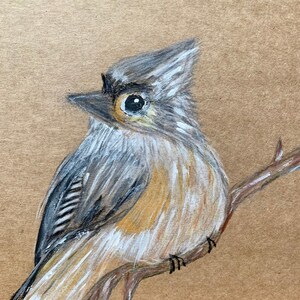 Tufted Titmouse. Absolutely realistic. Bird watchers will adore this piece.