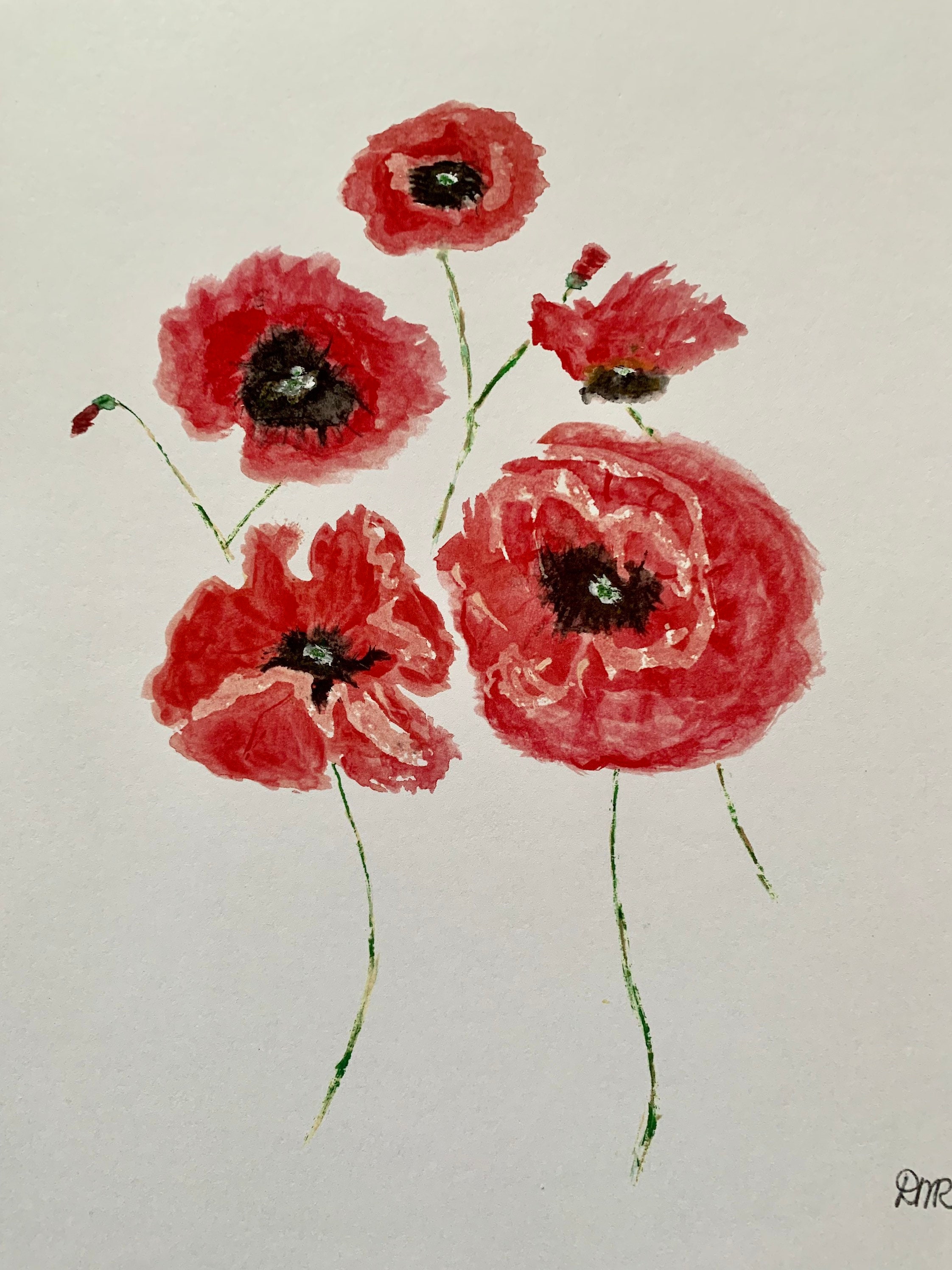 Perfect Poppies 