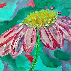 Echinacea Baby.....commonly known as the cone flower.