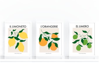 Set of 3 Citrus Poster Prints, Kitchen Wall Art, Fruit Market, Lemon, Lime and Orange Posters, Digital Art Download