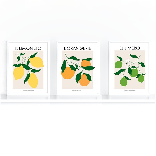 Set of 3 Citrus Poster Prints, Kitchen Wall Art, Fruit Market, Lemon, Lime and Orange Posters, Digital Art Download