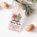 Editable Christmas Hang Tag Template, Printable Garment Label Template ...