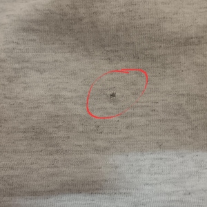 May include: Close-up of a light gray fabric with a small hole circled in red. The fabric appears to be a knit material, with a slightly textured surface. The hole is small and dark, contrasting with the lighter background.