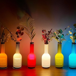 Light Bottle Table Lamp/Vase