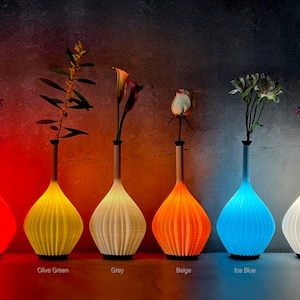 Shell Light Bottle Lamp/Vase