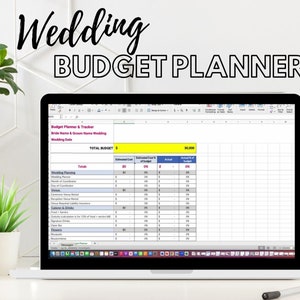 Budget Planner for Wedding, Budget Spreadsheet with Itemized Wedding Expense List, Vendor Budget Tracker, Wedding Budgeting