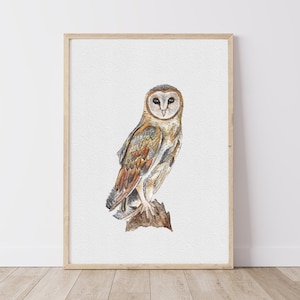Barn Owl Watercolour Art Print, Original Owl Painting, Nursery Wall Art Print, Home Decor, Fine Art Print, Gift For Her