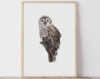Barred Owl Watercolour Art Print, Original Owl Painting, Nursery Wall Art Print, Home Decor, Fine Art Print, Gift For Her