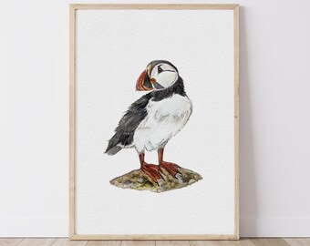 Puffin Watercolour Art Print - British Coastal Bird Art - UK Wildlife - Spring & Summer Seabird Decor - Unique Puffin Gift