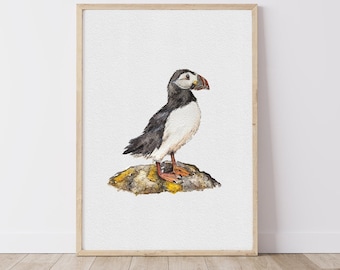 Puffin Watercolour Print - British Coastal Bird Art - UK Wildlife - Spring & Summer Seabird Decor - Unique Puffin Gift