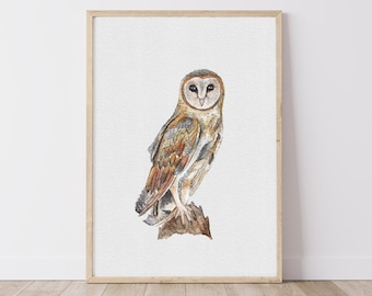 Barn Owl Watercolour Art Print, Original Owl Painting, Nursery Wall Art Print, Home Decor, Fine Art Print, Gift For Her