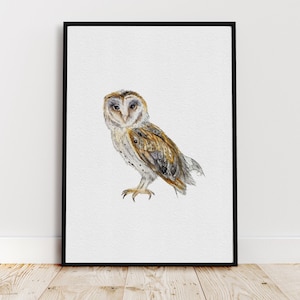Barn Owl Watercolour, Barn Owl Print, Home Decor, Gift For Her